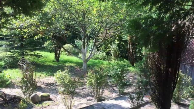 Закончился дачный сезон. смотреть онлайн