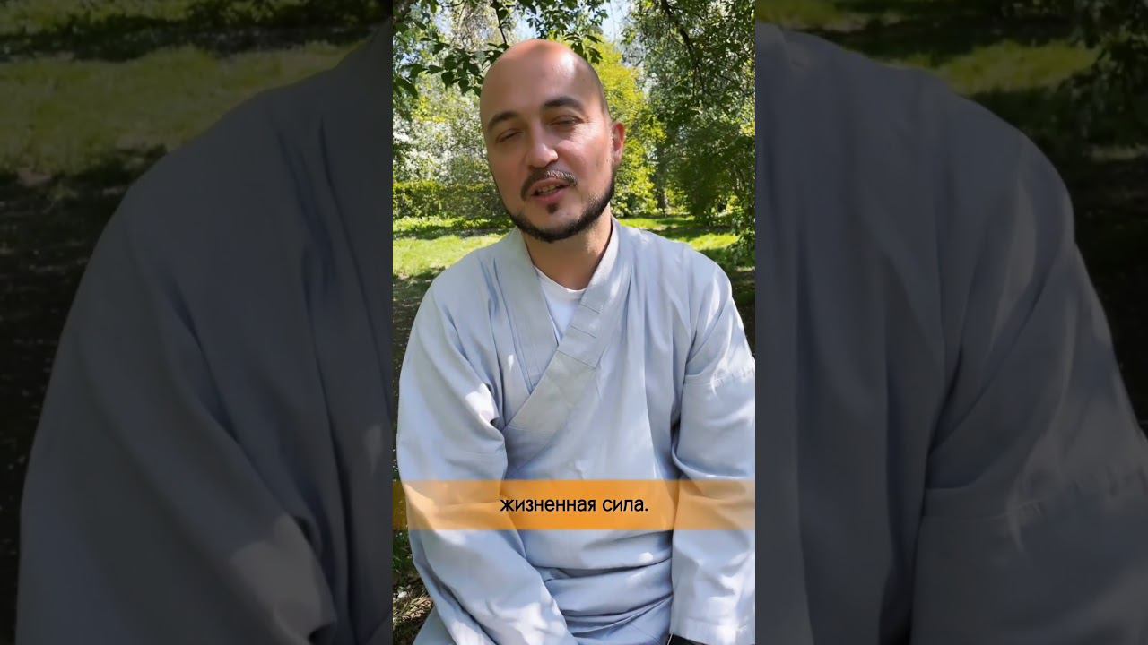 Про Цигун смотреть онлайн