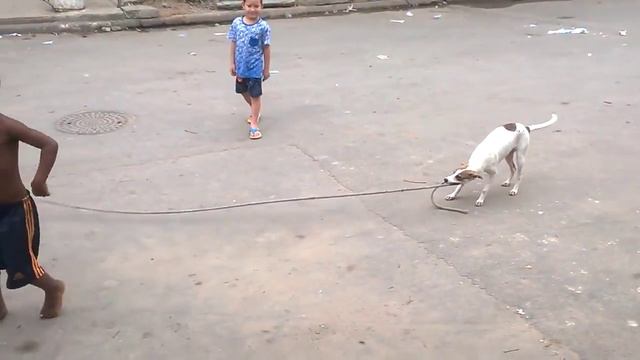 Собачка помогает детям прыгать через скакалку смотреть онлайн