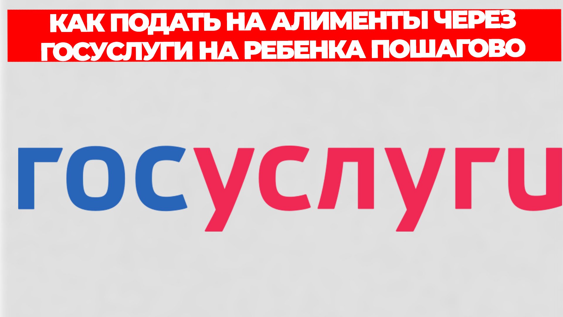 Всезнающий Енот