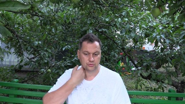 Что не хватает сыроедам и веганам - Лабиринты Знаний смотреть онлайн