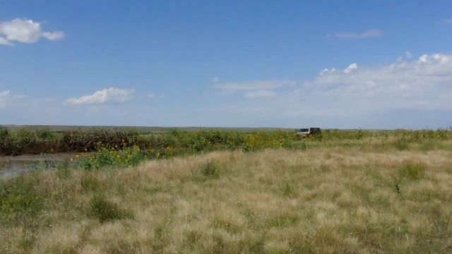 1997 Honda Passport - Mud Splash