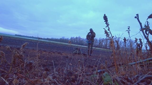 Охота со спаниелем, заяц окружён и обезврежен! смотреть онлайн
