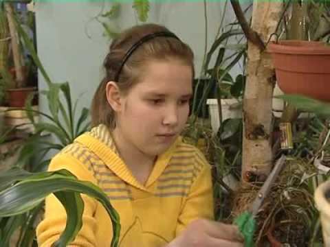 Полина смотреть онлайн