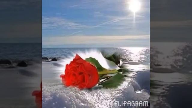 С праздником март 8 смотреть онлайн