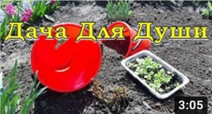 Необычные клумбы из старых ВЕДЕР???