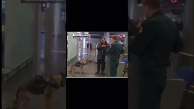 Работа в таможне смотреть онлайн