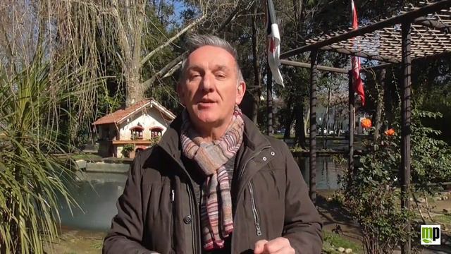 PILLOLE ETNOBOTANICHE - Ranuncolo strisciante смотреть онлайн