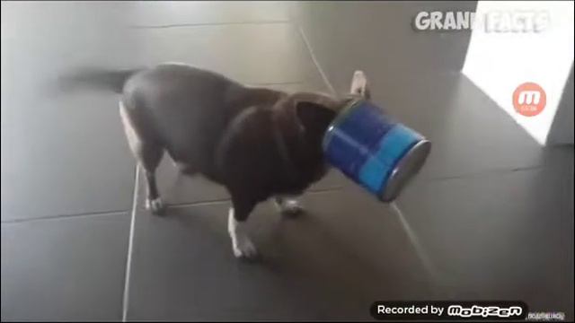 Давайте ребята будем попробуем не засмеяться смотреть онлайн