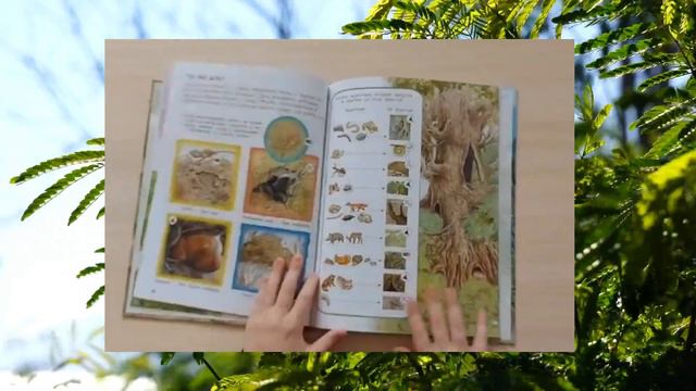 кто где живет смотреть онлайн