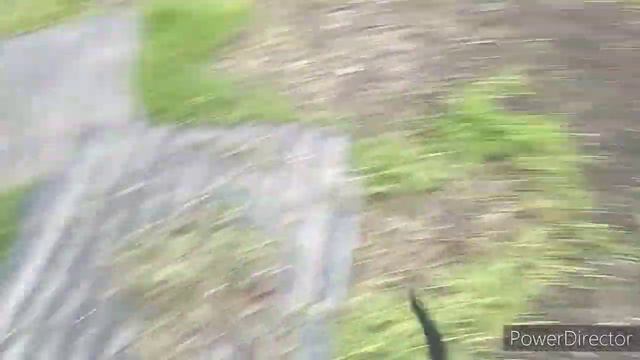 КУПИЛИ ДОМ НА ЮГЕ/ НАД НАМИ ПОДШУТИЛИ ИЛИ КАК?? Я В ШОКЕ/ПРОВОДИЛА МУЖА  И ТУТ.../ЮЖНАЯ ЖИЗНЬ