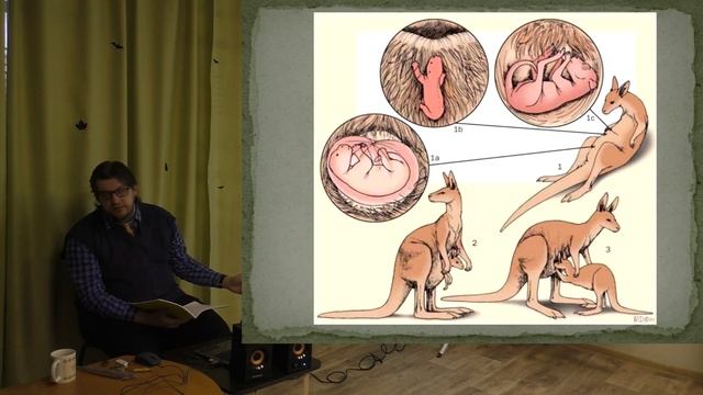 Палеогеновый период | Александр Ипатов смотреть онлайн