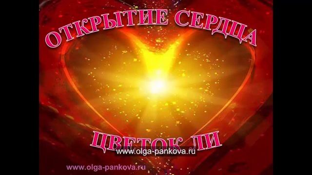 огненный цветок ли начало смотреть онлайн