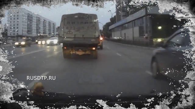 Спас собаку смотреть онлайн