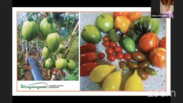 Что можно получить на участке с истощенной почвой и болезнями растений, если пройти обучение в школ смотреть онлайн