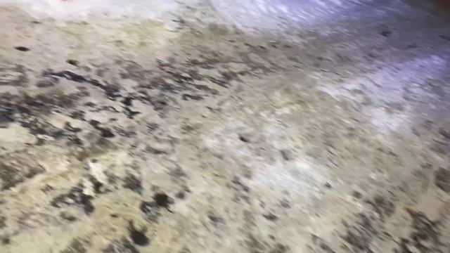 УВОЛИЛСЯ, УШЕЛ ИЗ ТК «ВЕРУС»