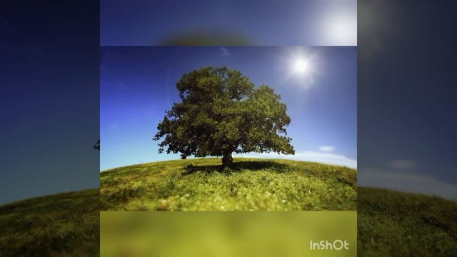 Встану я на заре рано-рано... смотреть онлайн