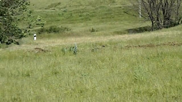 Горы, степи, ветер/ЮКО/Казахстан