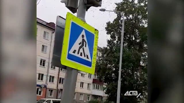 Сотни ос на светофоре в Южно-Сахалинске увидел горожанин смотреть онлайн
