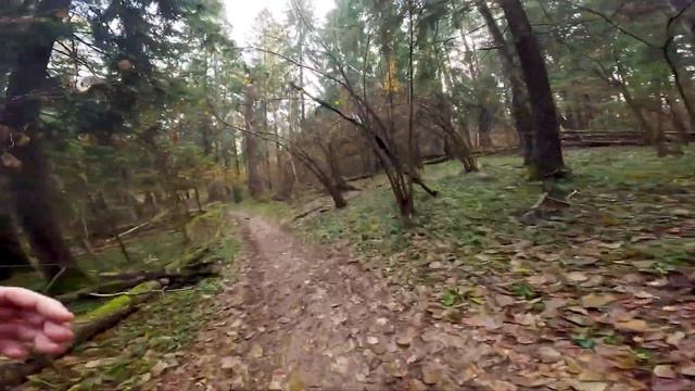 ТЕСТ Gopro 12 на пробежке