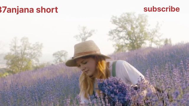 Beautiful Flowers || Hindi Song || Beautiful Flower & Hindi Song #trending_video #nocopyrightsong смотреть онлайн