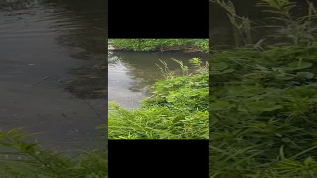 Неожиданная встреча смотреть онлайн