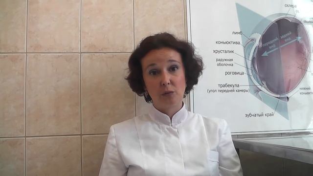 Советы ветеринарного врача. Можно ли восстановить зрение после выпадения глаза? смотреть онлайн