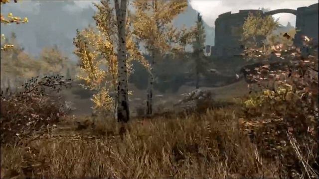 Skyrim: Chewiemuse's Dense Grass mod смотреть онлайн