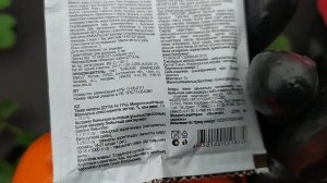 Результат лечения хлороза на клубнике хелатом железа не повторяйте моих ошибок