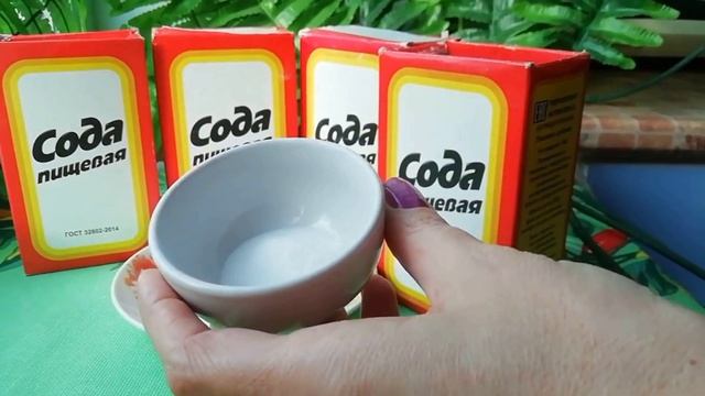 KECHQURUN SODA BILAN HOMILADORLIK TEKSHIRUVI / КЕЧКУРУН СОДА БИЛАН ХОМИЛАДОРЛИК ТЕКШИРУВИ