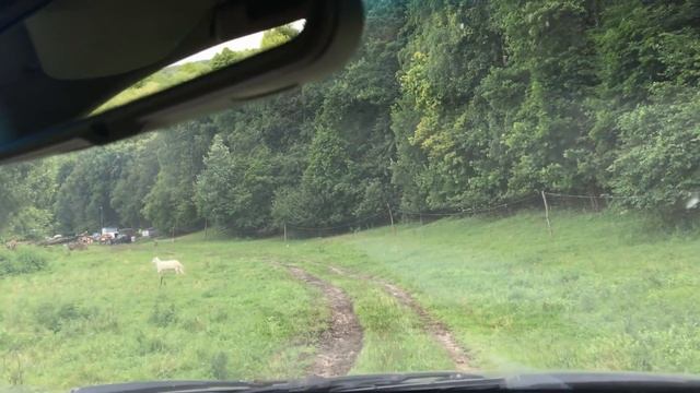 Чем занимаются родители пока дети у бабушки.У нас пополнение.Свидание с отарой овец.Свидание с муже смотреть онлайн