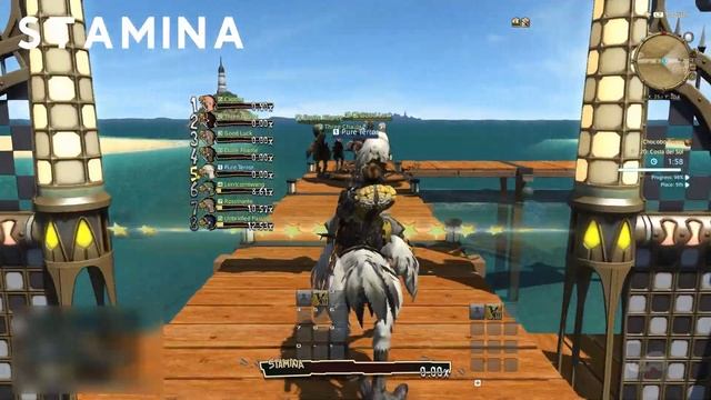 Chocobo Racing Guide for FFXIV: The Basics смотреть онлайн