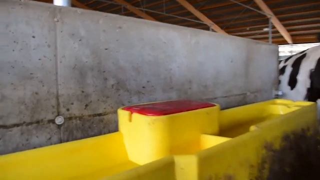 Оборудование GEA для оснащения коровников смотреть онлайн