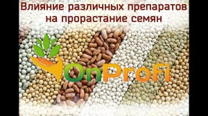 Замачивание и проращивание семян в различных препаратах. Сравнение.