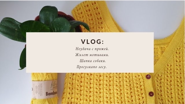 🍁Неудача с пряжей #openwork_vest. Жилет мотивами.  Шапка собаки..mp4