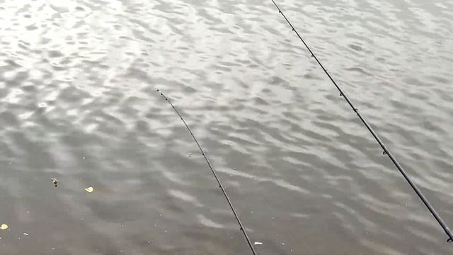 Рыбалка на ФЛЭТ ФИДЕР | Ловля КАРАСЯ на ФЛЭТ ФИДЕР в черте города смотреть онлайн