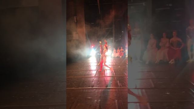 Вариация шутов из балета "Лебединое озеро" смотреть онлайн