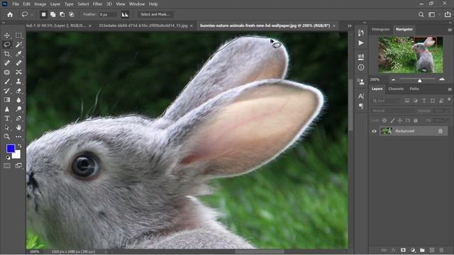 #3 Lasso Tool in Adobe photoshop CC 202 | Polygonal Lasso Tool | Magnetic Lasso Tool | In Hindi смотреть онлайн