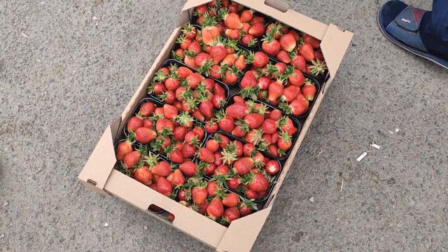 Цены на клубнику 29.05.2021 Клубничный рынок Чернянка