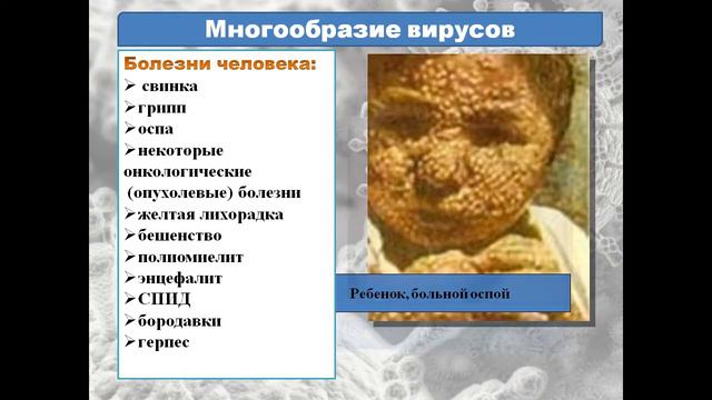 Неклеточные формы жизни