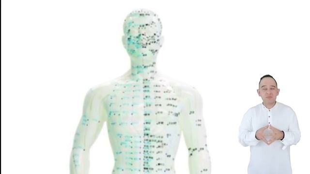 Los CHAKRAS y el REIKI - Qué son, Cómo Funcionan, bloqueos y Desbloqueos de los Chakra con el Reik смотреть онлайн