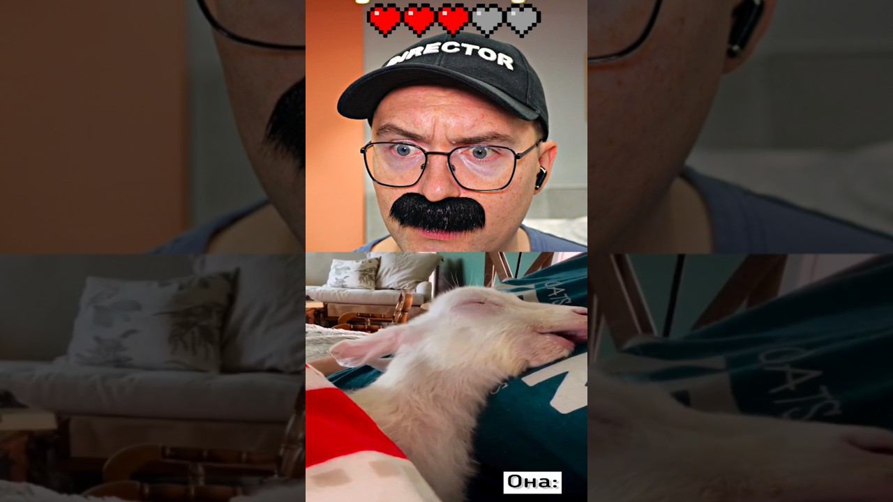 Нельзя смеяться | Засмеялся - проиграл 9 смотреть онлайн