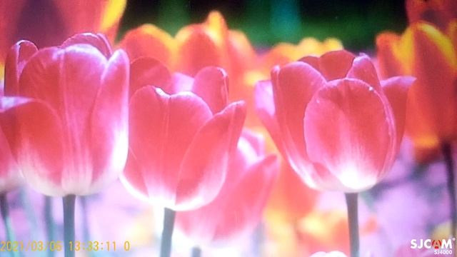 Казачка хочу коптильню смотреть онлайн