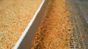 Сортировочная машина для зерна Для кукурузы