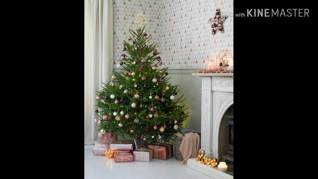 Все что нужно знать о живой новогодней ёлке смотреть онлайн