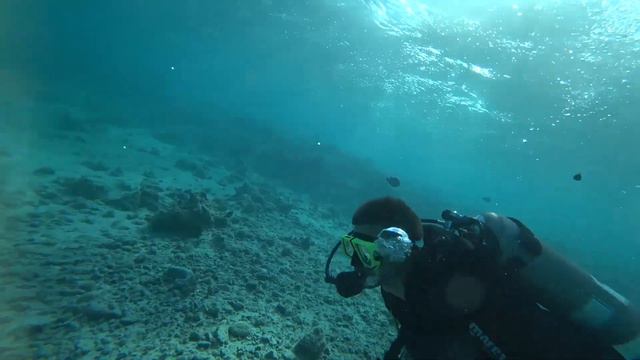 Дахаб, дайвінг у Червоному морі, Єгипет 2021 смотреть онлайн