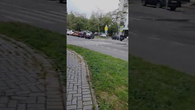 нагулялись, замёрзли, скорее домой смотреть онлайн