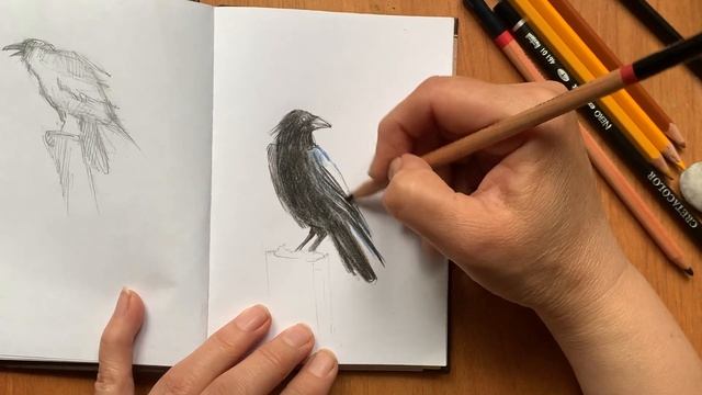 Ворон. Цветные карандаши смотреть онлайн