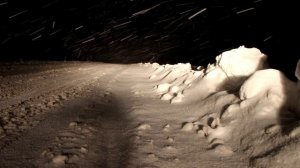 Звуки снегопада и ветра на заснеженной просёлочной дороге ночью  для расслабления, сна и медитации