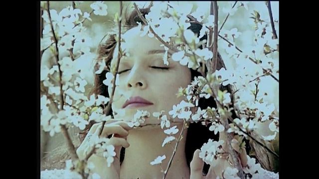 Yulduzingni Ber,  Osmon Filmidan Soundtrek. Nasiba Abdullayeva Ijrosida